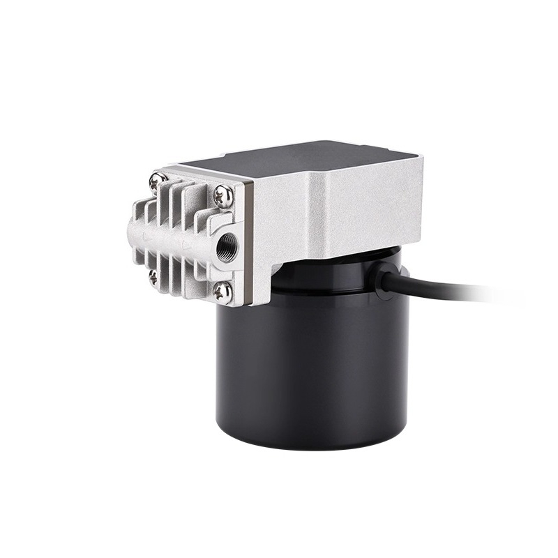 Schwingkolbenpumpe, 24 V, Druc – Rubber Booster Speed Bewertung und Preis