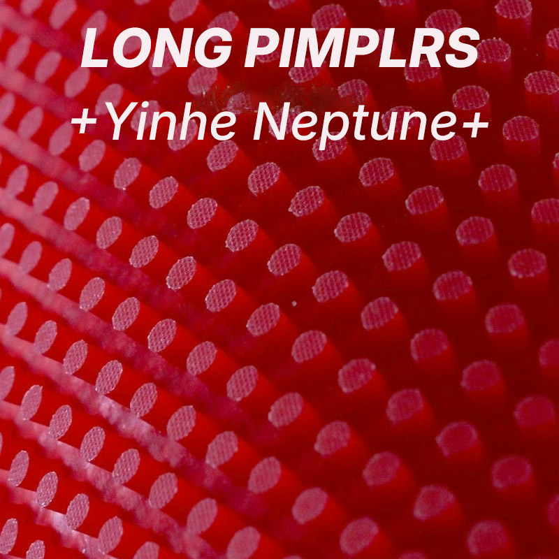 YINHE NEPTUNE Langnoppiger Tis – Table Tennis Is Played With A Bewertung und Preis